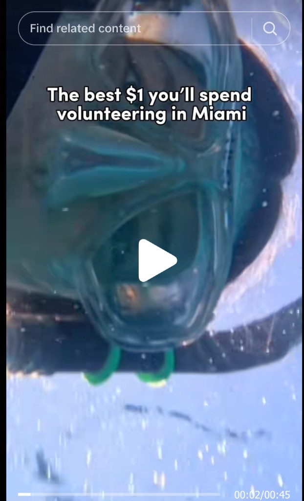 TikTok — Miami volunteering